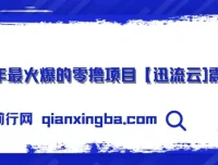 2025零撸项目：迅流云，手机连WiFi自动挂机