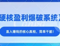 《硬核盈利爆破系统》：洞悉赚钱核心真相