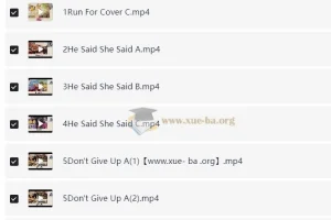 李航高级英语培训班【剑桥英语PET下】（2025年，适用于小学六年级小升初）