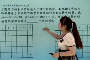 五年级奥数竞赛班（上下册全20讲，高思数学）