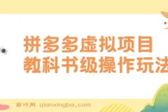 拼多多店铺虚拟项目：教科书式操作玩法