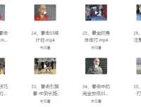 杰森拳击高清系统教学（中英字幕）