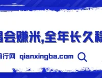 演唱会赚米项目：全年稳定的娱乐行业新风口