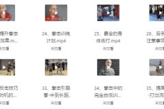 杰森拳击高清系统教学（中英字幕）