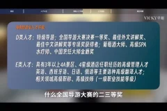 职场进阶必修课：杨知只71节高薪跳槽/副业指南/AI新玩法课程