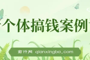 新个体搞钱案例库：29节视频+文档，教你赚到第一个100w