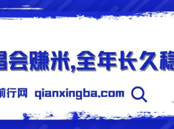 演唱会赚米项目：全年稳定的娱乐行业新风口