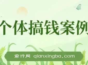 新个体搞钱案例库：29节视频+文档，教你赚到第一个100w