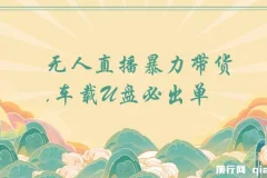 树敌无人直播：车载U盘暴力带货秘籍
