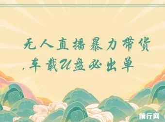 树敌无人直播：车载U盘暴力带货秘籍