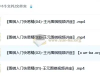 《王元围棋视频讲座：围棋入门快易精》