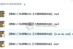 《王元围棋视频讲座：围棋入门快易精》