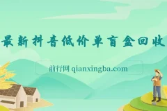 抖音低价单盲盒回收项目：单机日利润约200元