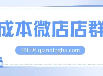 0成本微店店群课程