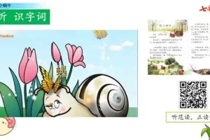 1-6年级语文上册七彩云课堂同步精讲视频
