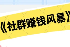 《社群赚钱风暴：揭秘高效社群盈利秘籍》