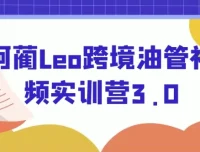阿蔺Leo跨境油管视频实训营3.0：YouTube线上运营实操课