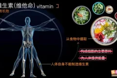 乐乐课堂初中生物高清动画视频：初一初二全解析，探索生物奥秘