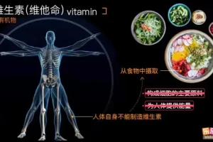 乐乐课堂初中生物高清动画视频：初一初二全解析，探索生物奥秘