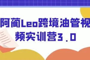 阿蔺Leo跨境油管视频实训营3.0：YouTube线上运营实操课