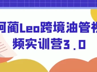 阿蔺Leo跨境油管视频实训营3.0：YouTube线上运营实操课