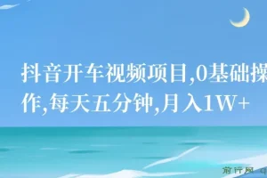 抖音开车视频项目：0基础操作，每日五分钟可创收