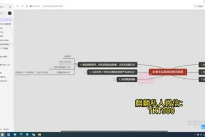 抖音小店日赚千元：高效变现实战指南课程