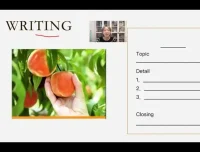 徐老师英语阅读写作L1课程：专为英语初学者打造的50讲系统课程【全+作业】