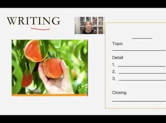 徐老师英语阅读写作L1课程：专为英语初学者打造的50讲系统课程【全+作业】