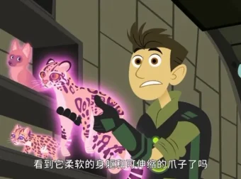 科普动画《动物兄弟》全6季158集资源合集