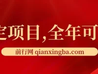 找茬烧脑类口播项目：视频号与快手收益指南