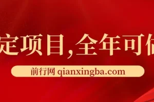 找茬烧脑类口播项目：视频号与快手收益指南