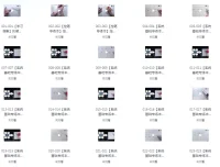 最用心全面的VIP硬笔书法课程（250课）：手把手教学，附可打印控笔素材