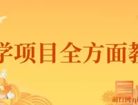 0成本玄学项目全方面教学：0 – 1搭建全流程，小白暴力掘金