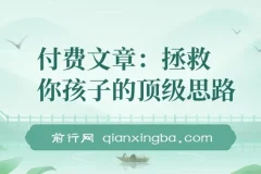 付费文章：《拯救你孩子的顶级思路：聊透学业、事业与未来》