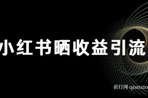 小红书晒收益图引流垂直项目粉课程：日引200+策略详解