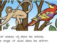 顶点教育少儿法语课：加拿大专家Derek亲授，助力6 – 15岁孩子法语启蒙与进阶