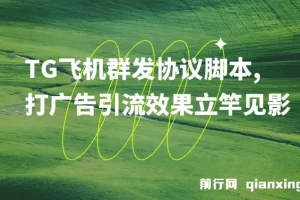 TG飞机群发协议脚本：批量采集群私聊，助力广告引流