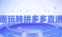 全面玩转拼多多直通车：新老店铺适用的运营玩法课程
