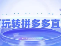 全面玩转拼多多直通车：新老店铺适用的运营玩法课程