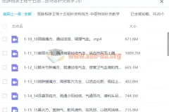 医脉相承：王瑶十五组针灸特效方 中医特效针灸教学课程