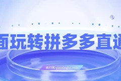 全面玩转拼多多直通车：新老店铺适用的运营玩法课程