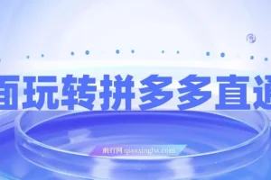 全面玩转拼多多直通车：新老店铺适用的运营玩法课程
