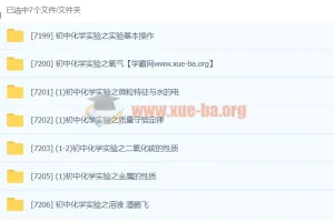 初中化学化学实验专题课程