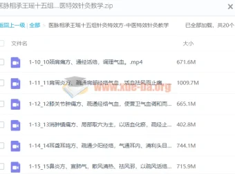 医脉相承：王瑶十五组针灸特效方 中医特效针灸教学课程