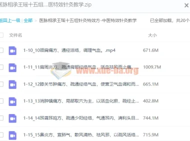 医脉相承：王瑶十五组针灸特效方 中医特效针灸教学课程