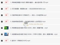 英语高效磨耳朵：涵盖听力与口语练习资源