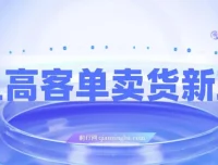 闲鱼高客单卖货新玩法：选品与高收入指南