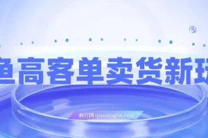 闲鱼高客单卖货新玩法：选品与高收入指南