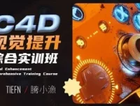 腾小渔C4D视觉提升综合实训班